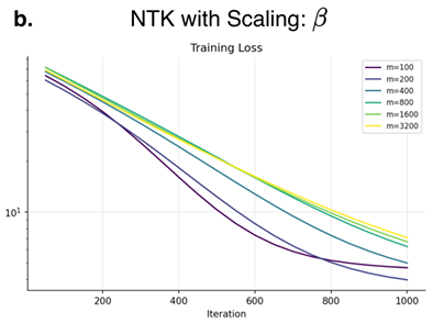 Training loss curves for the NTK regime at widths from 100 to 3200, all decreasing over 1000 iterations with wider networks converging to a higher loss floor.