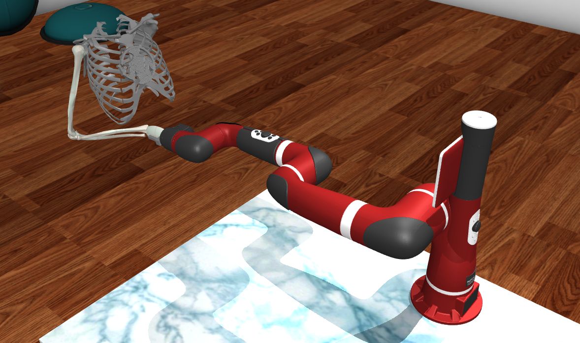 MuJoCo simulation: a skeletal human arm and a red Rethink Sawyer robot arm jointly holding a translucent panel.